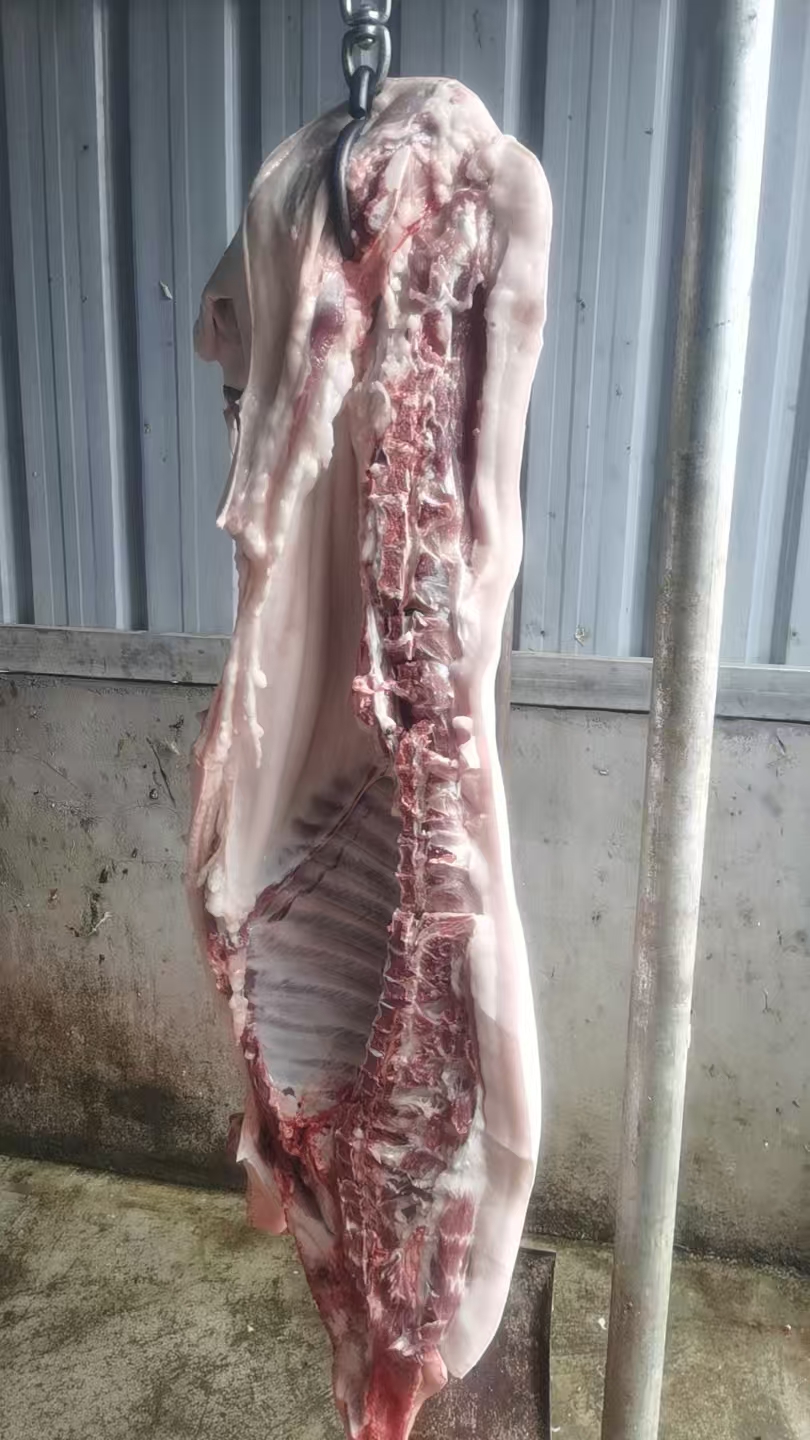 屠宰好的猪